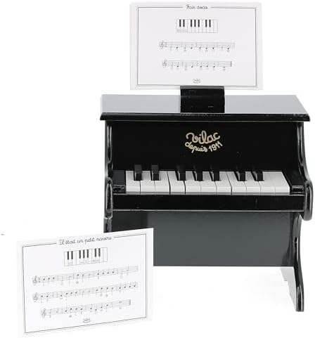 Vue 3 de Vilac Piano Noir Touches