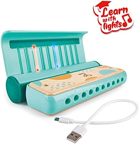 Vue 2 de Hape Harmonica Bleu Avec
