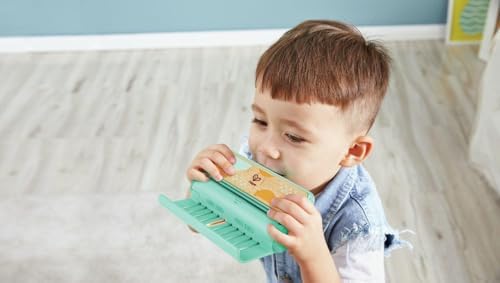 Vue 7 de Hape Harmonica Bleu Avec