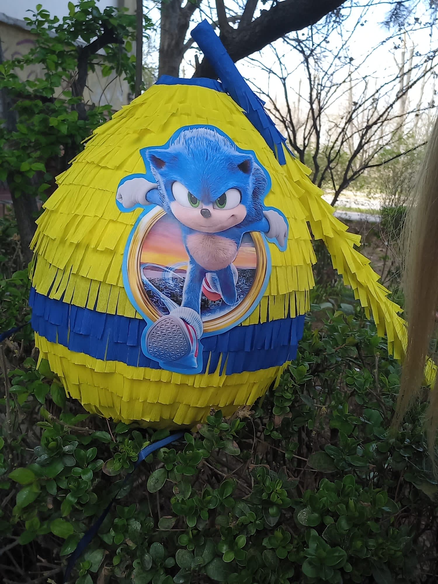 Pinjata