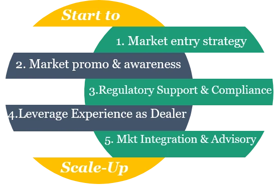 Start to Scale Up