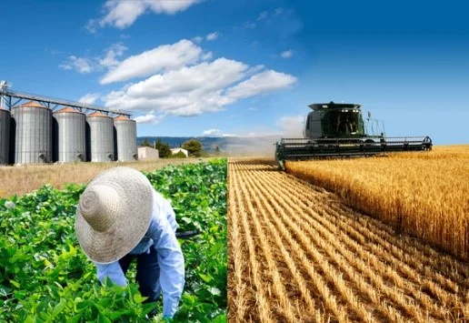 Transitioning from farming to agribusiness: Why it’s essential today