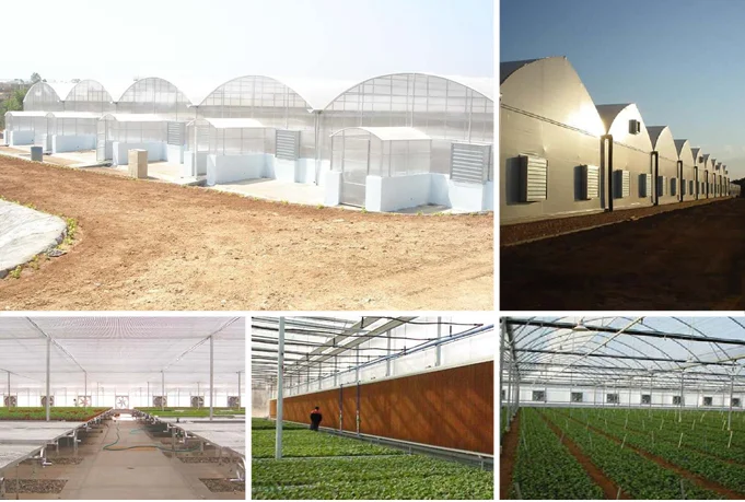 Greenhouse & poly-house farming: Opportunities and benefits