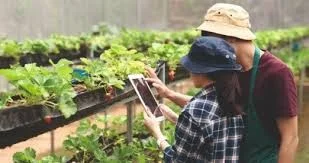 Special skillsets for agri graduates to succeed in their careers