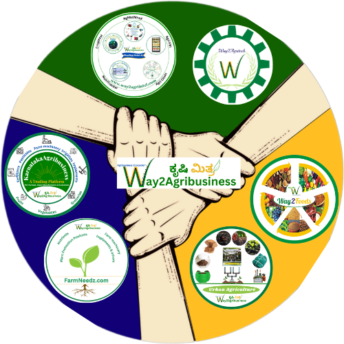 Our Online Services