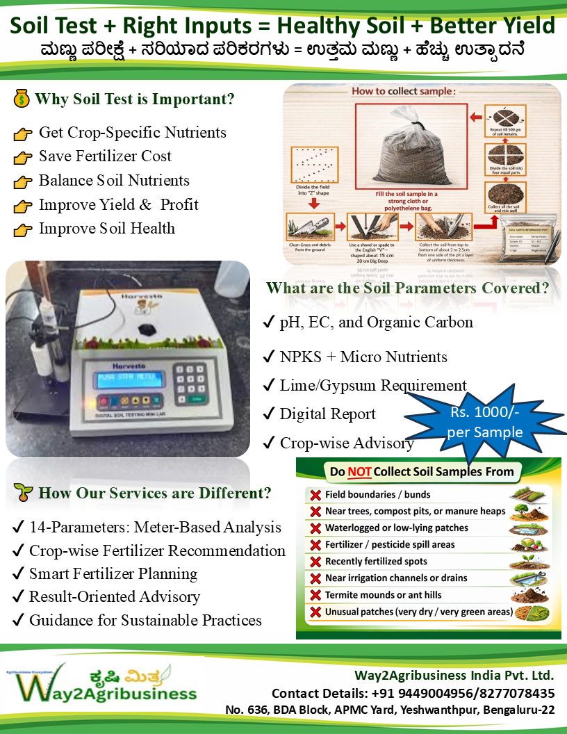 Soil Test