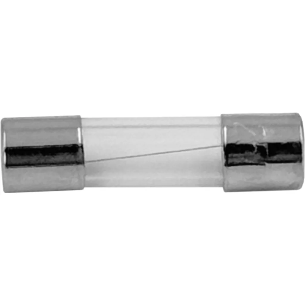 Imagen 1 de 20-un. 0,2A 200mA 5x20mm 250V Fusible Rapido Cilindrico Vidrio