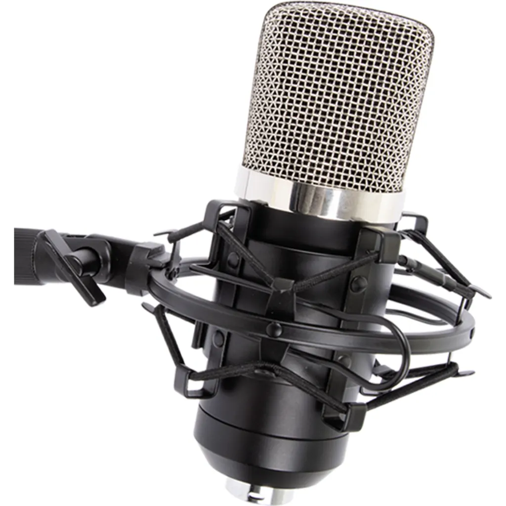 Imagen 2 de SOPORTE PARA STUDIO MICROPHONE