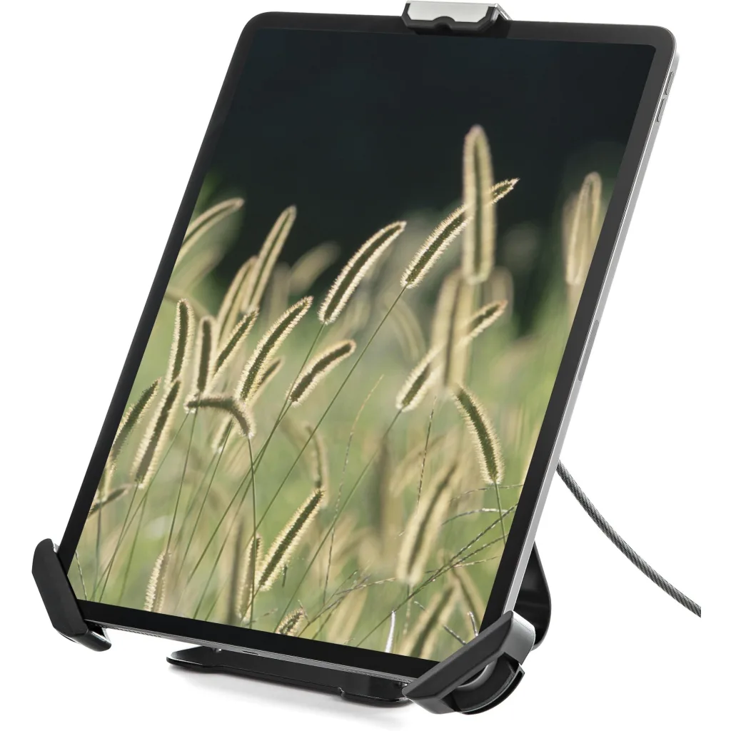 Imagen 11 de Secure Tablet Stand/Mount - 7.9-13 inch