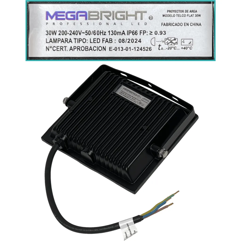 30W 6000K 100o 200-240VAC Luz-Blanca LED Exterior IP65 Certif-SEC