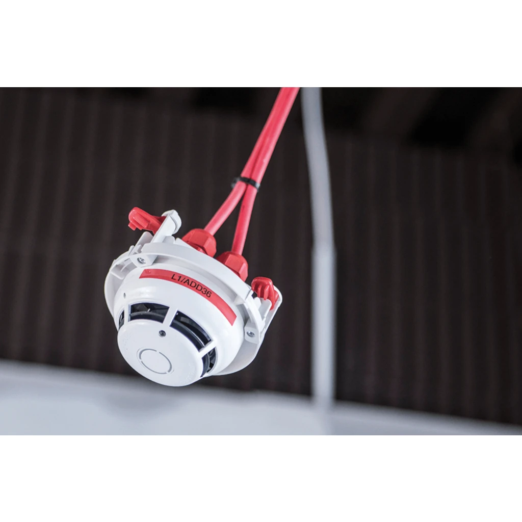 Imagen 11 de Rotuladora Electrónica Profesional Brother PT-E110VP, 180DPI 12mm Cortador