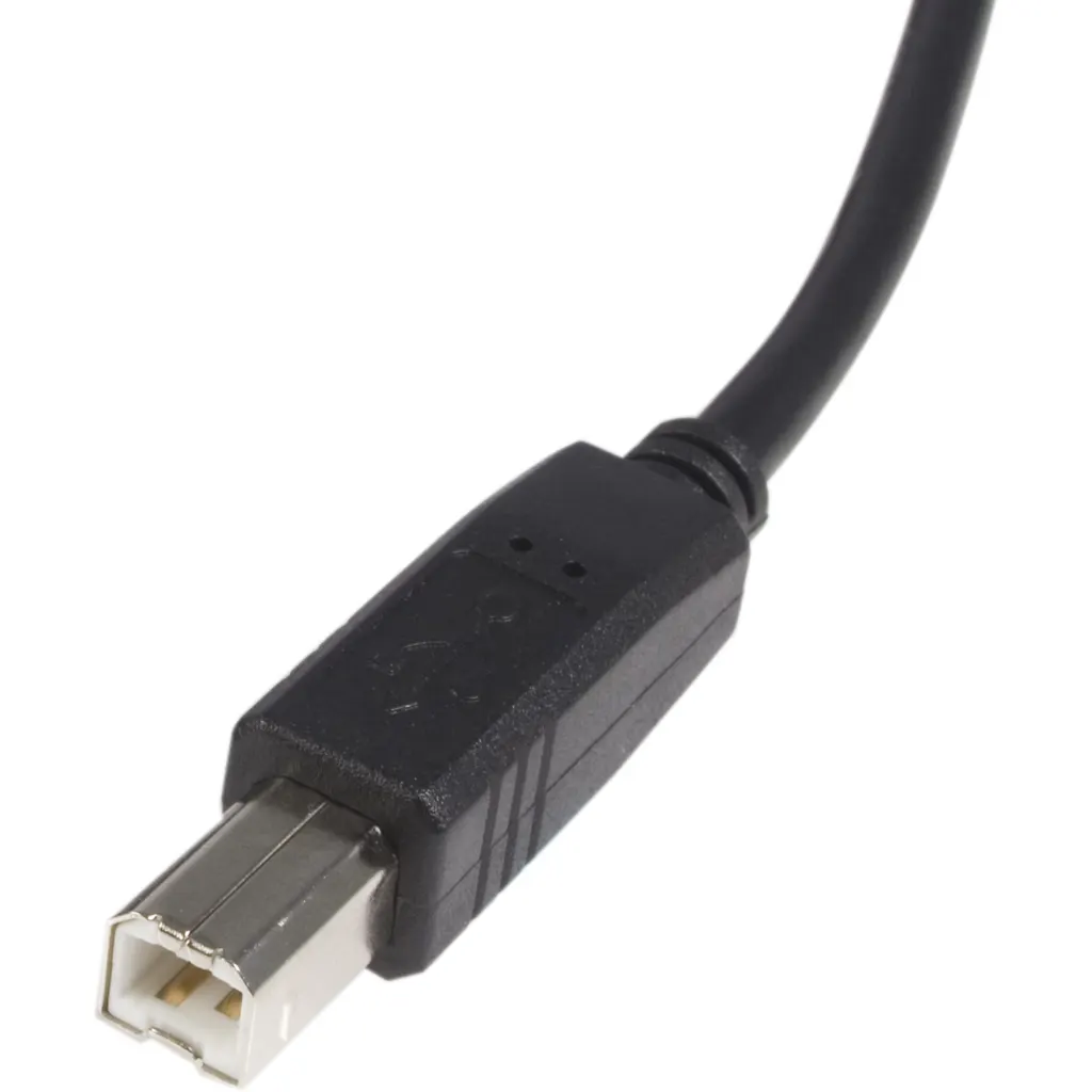 Imagen 2 de 15 ft USB 2.0 A to B Cable - M/M