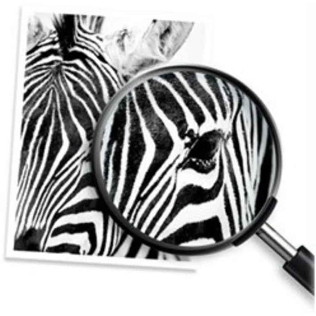 Imagen 11 de Cartucho de Tinta HP 122 Tricolor p/DeskJet 1000-2000-3000, 100 Páginas 1.5ml