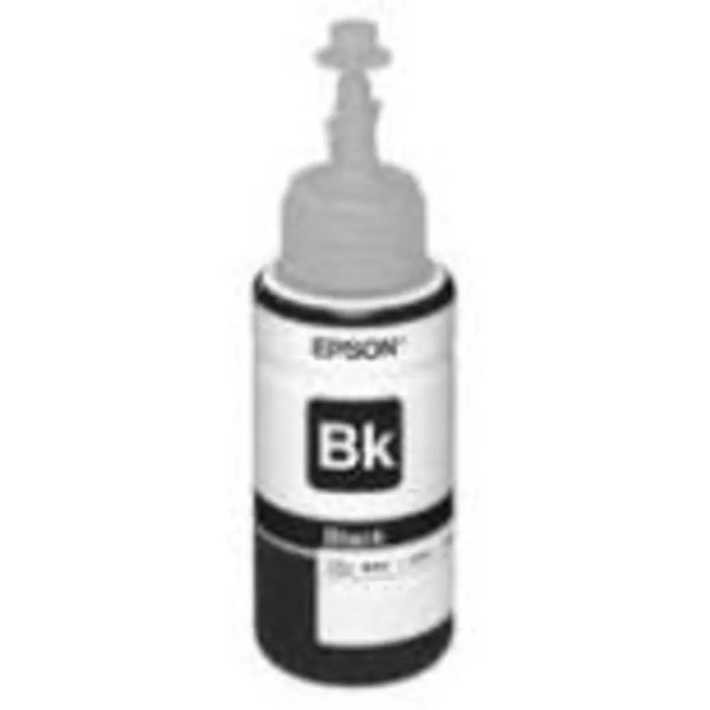 Botella de Tinta Negro Epson 673 Pag. 2200 L805