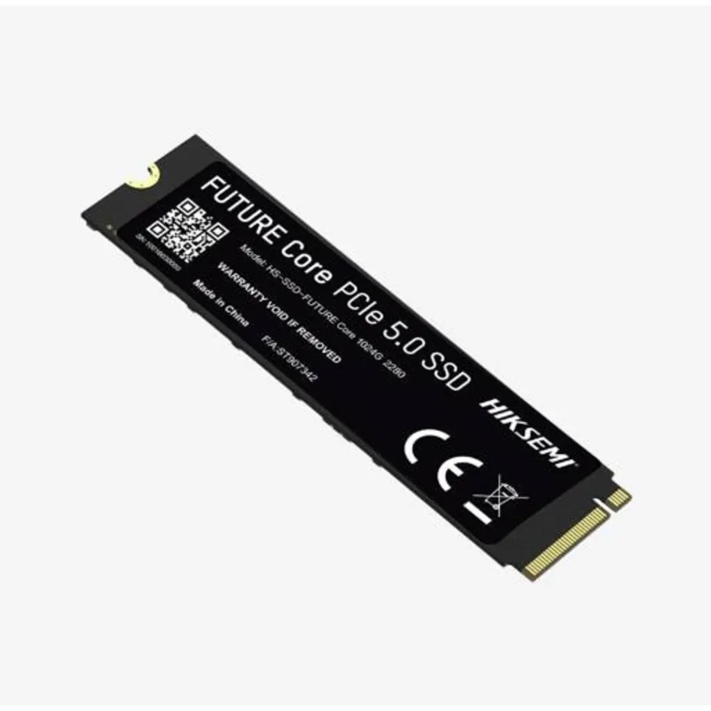 Hiksemi Future 1 TB (HS-SSD-FUTURE CORE 1024G)