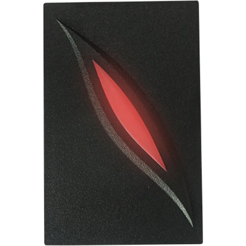 KR101M. lector esclavo de tarjetas RFID IC 13.56mhz, wiegand 34bits, uso exterior ip65.