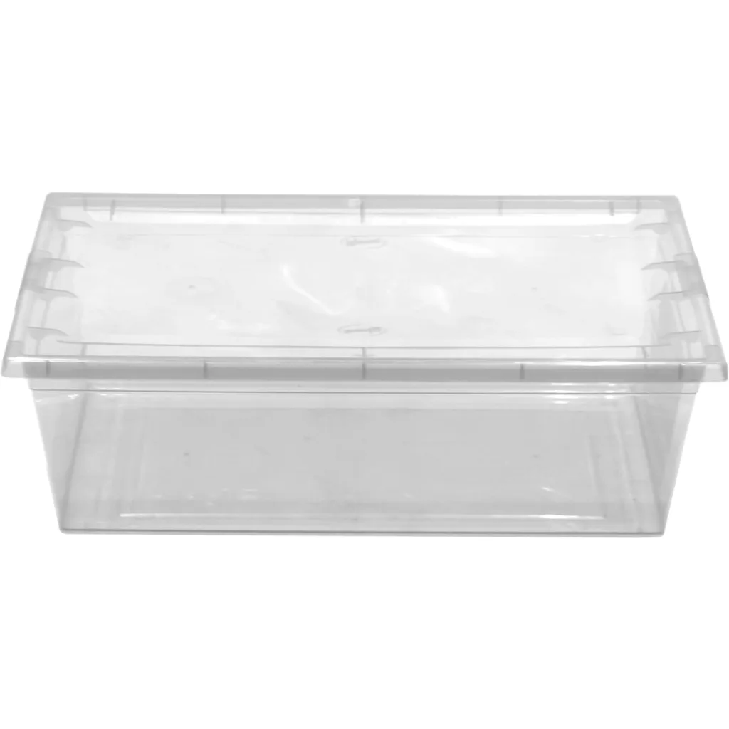 Imagen 3 de WENCO Caja c/Tapa 6Lts Transparente 21x34cm 11cm-Alt Rectangular