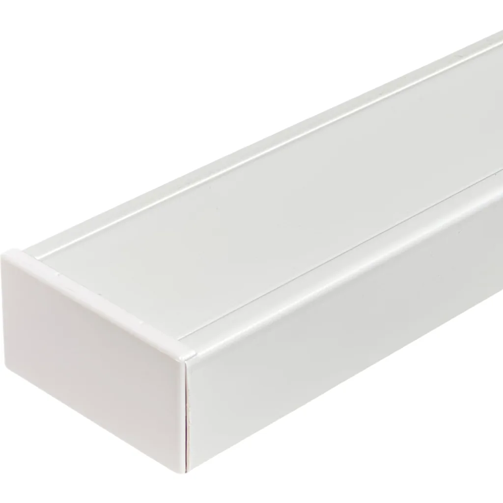 Imagen 2 de LINKCHIP 100x50mm Recta-Plana Tapa Final Blanca CCA-10050-TFR.