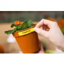 Thumbnail 2 de Brother TZES641 Laminated extra strength adhesive tape
