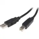 Thumbnail 0 de Cable USB 2.0 Tipo-A a Tipo-B M/M 22/28 AWG 2mts Negro - StarTech