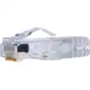 Thumbnail 1 de Panduit - Modular plug - Packaged Quantity: 100 - Category 6 UTP