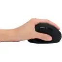 Thumbnail 8 de Kensington - Mouse - Wireless - K79810