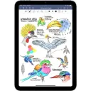 Thumbnail 2 de iPad mini 6 Gen Wi Fi 64 GB gris especial
