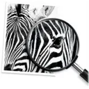 Thumbnail 9 de Cartridge de Tinta HP 970XL Negro