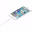 Thumbnail 3 de Cable Lightning a USB Apple 1.0 Mt