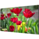 Thumbnail 0 de Monitor Profesional Hikvision 55" FHD 1920*1080 DP DVI HDMI VGA RS232