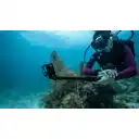 Thumbnail 3 de Cámara de Acción GoPro HERO13 Black