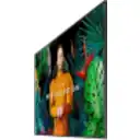 Thumbnail 1 de Monitor Profesional Samsung Crystal QBC 55" VA HDMI USB IR RJ-45 WIFI BT Tizen