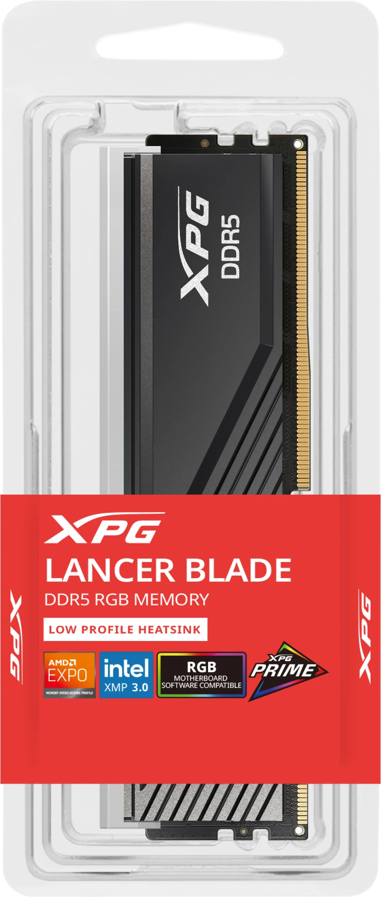 tecnomas.cl | [AX5U6000C4816G-SLABRBK] Memoria RAM 16GB DDR5 6000MHz