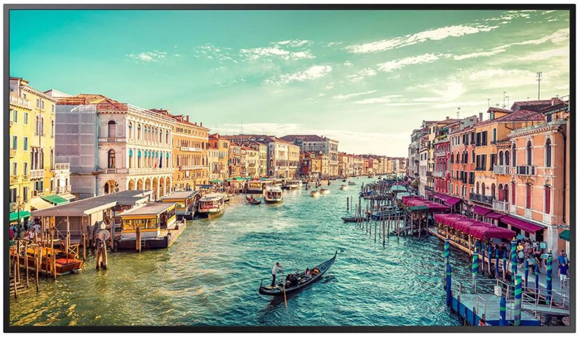 Imagen 0 de Monitor Prof. 24/7 Samsung LH43QM 43" 4K UHD 3840x2160 WiFi LAN DP DVI HDMI USB