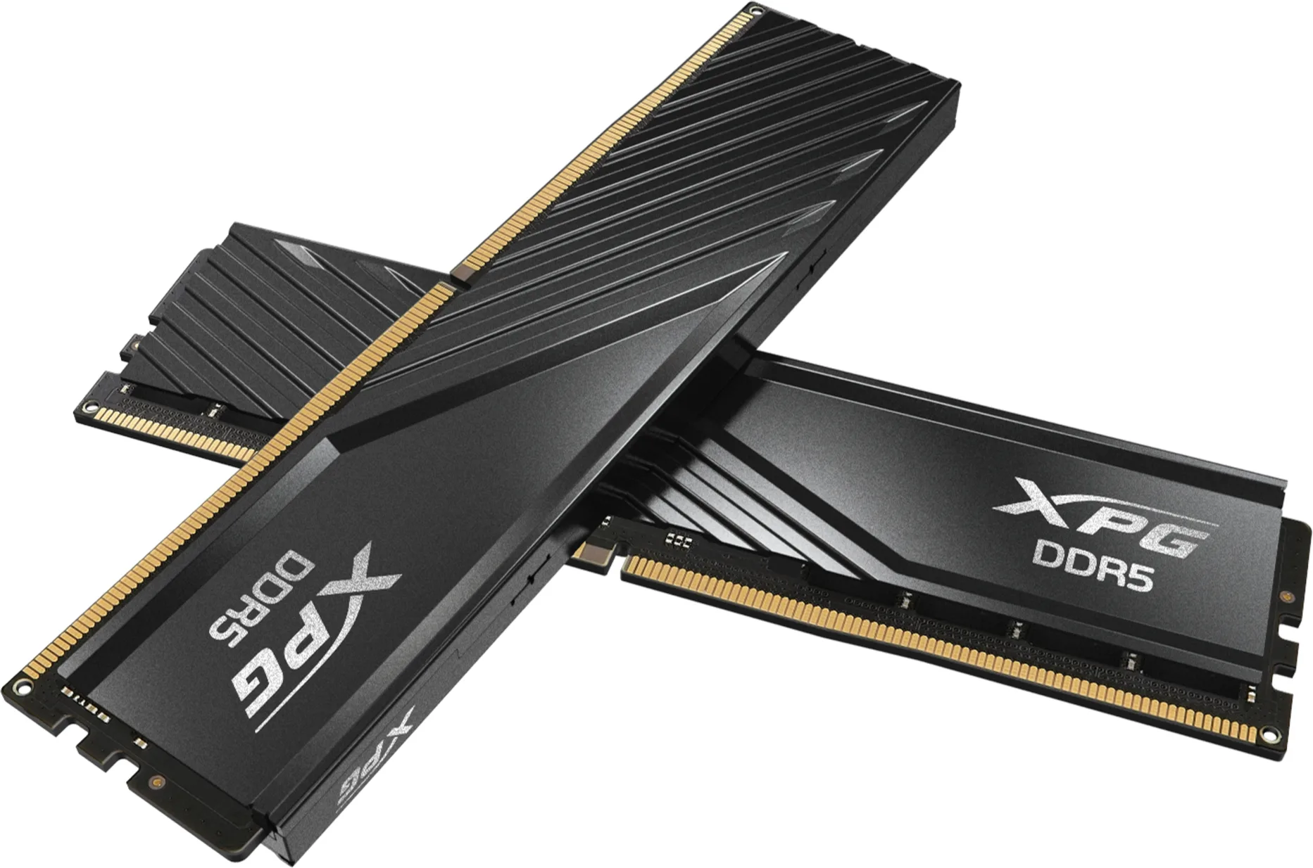 Imagen 0 de ADATA DDR5 U-DIMM 8GB 5600 BLACK