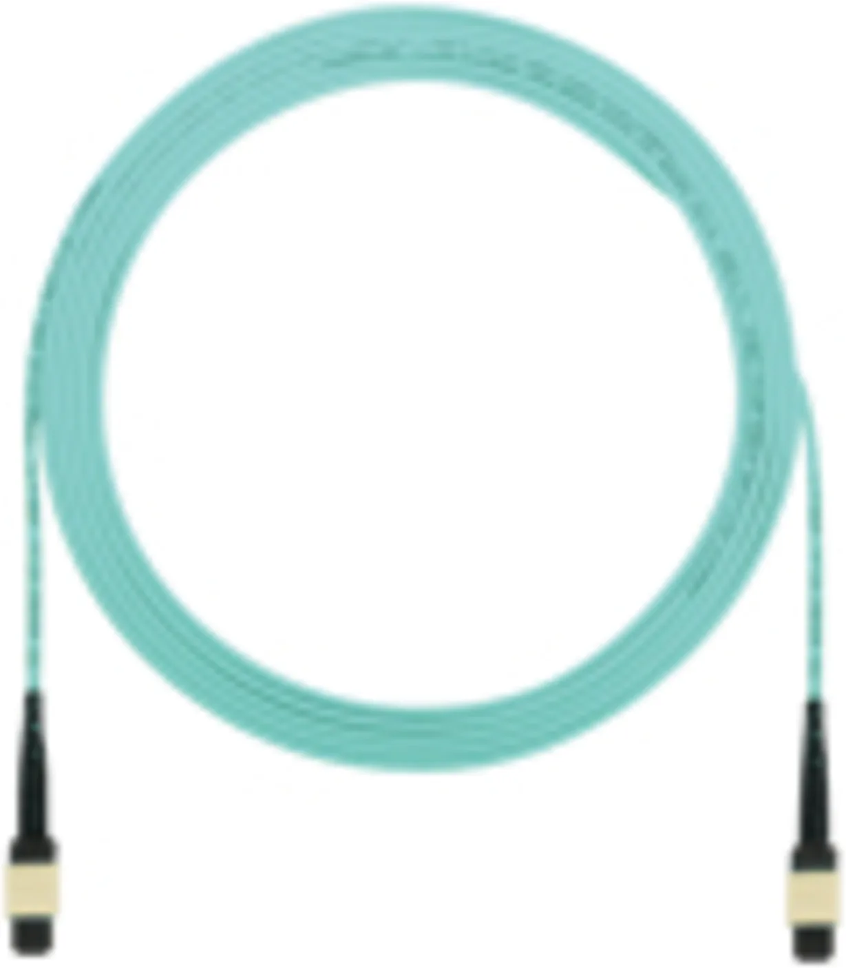 Imagen 0 de Panduit QuickNet MPO Interconnect Round Cable Assemblies - Cable de red - modo múltiple MPO (H) a modo múltiple MPO (H) - 10 m - fibra óptica - 50/125 micras - OM4 - sin halógenos, interior - agua