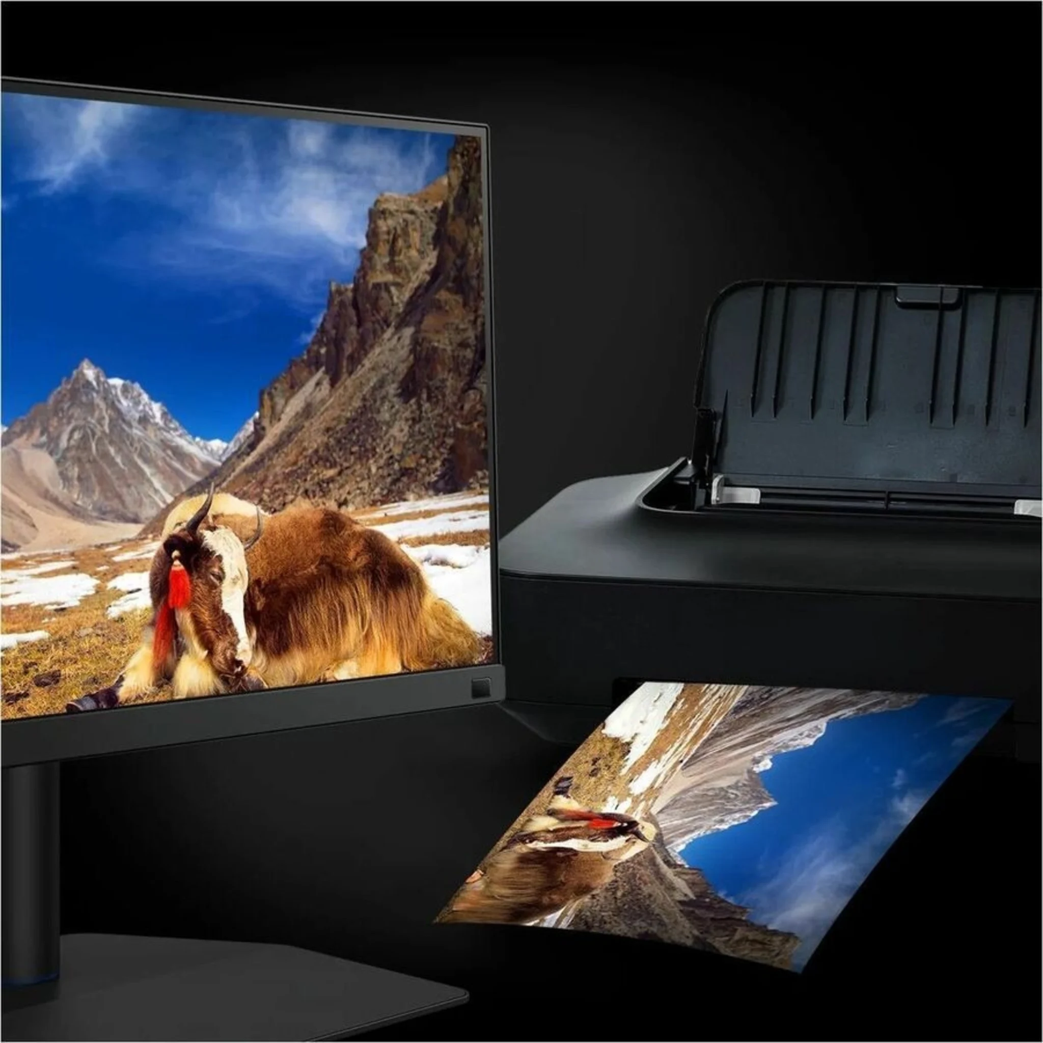 Imagen 7 de Monitor BenQ SW272Q PhotoVue 27" WQHD 2560*1440 2k IPS DP 2*HDMI USB-C