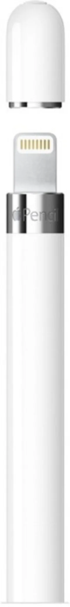 Imagen 3 de Apple Pencil 1ª Gen