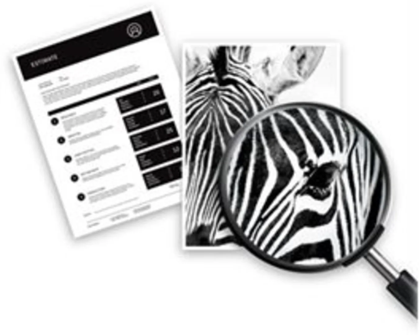 Imagen 4 de Cartridge de Tinta HP 970XL Negro