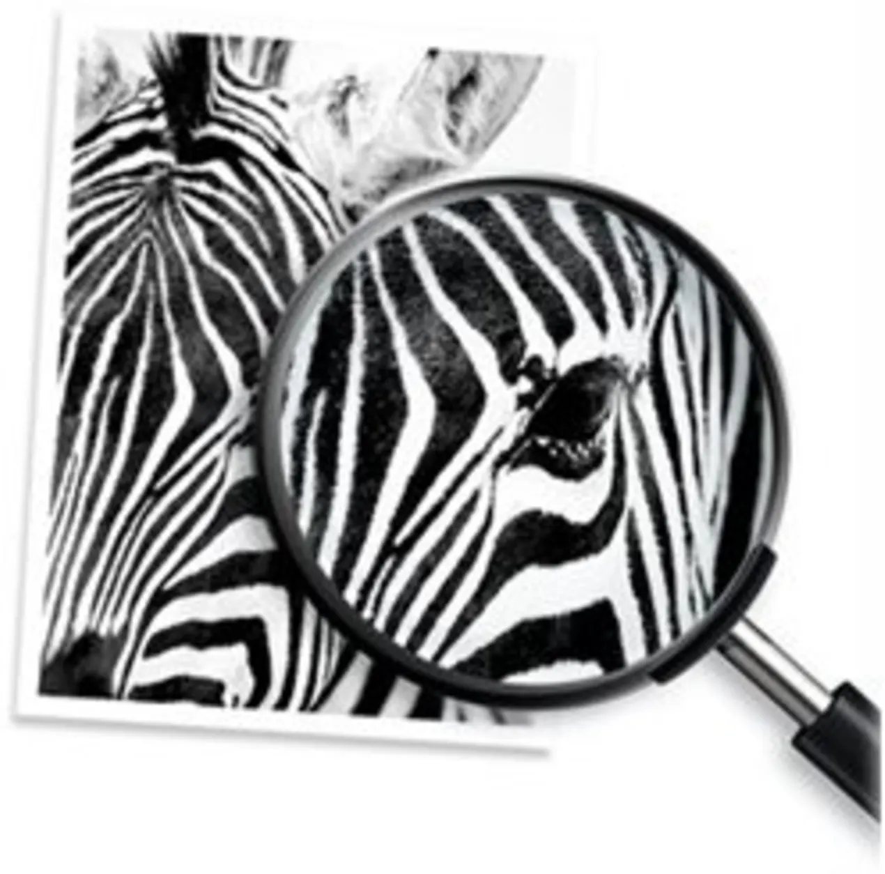 Imagen 9 de Cartridge de Tinta HP 970XL Negro