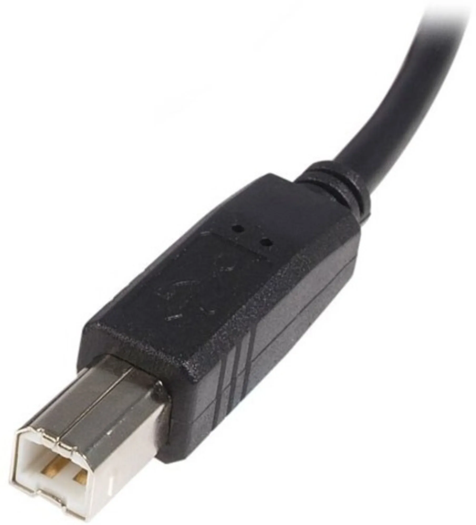 Imagen 1 de Cable USB 2.0 Tipo-A a Tipo-B M/M 22/28 AWG 2mts Negro - StarTech