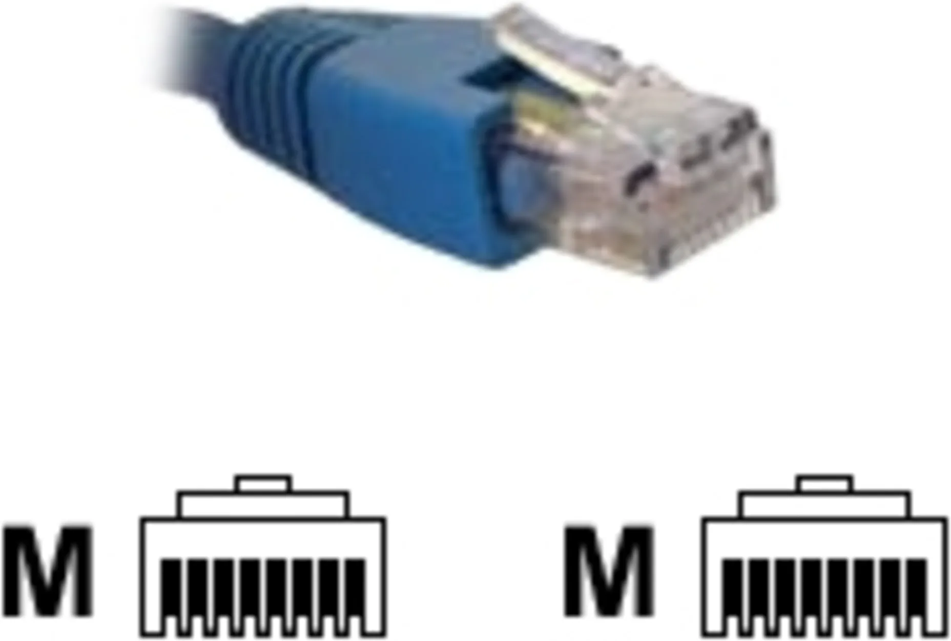 Imagen 0 de Cable de Red Nexxt Cat6 UTP RJ-45 M/M Trenzado 2mts AZUL