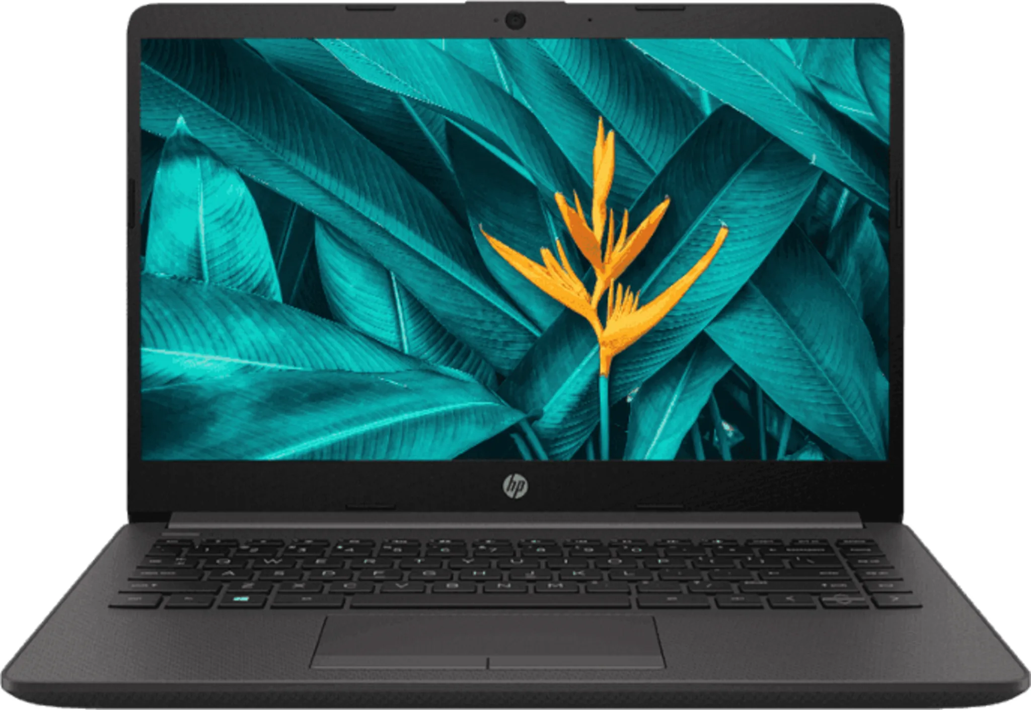 Imagen 0 de Notebook HP 240 G8 Celeron N4020 RAM 4GB HDD 500GB 14" W10H