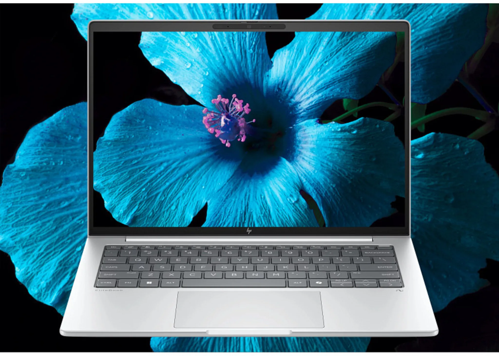 Imagen 3 de Notebook HP EliteBook 8 G1i Ultra 7 255U 16GB 1TB 14" Touch W11P 
