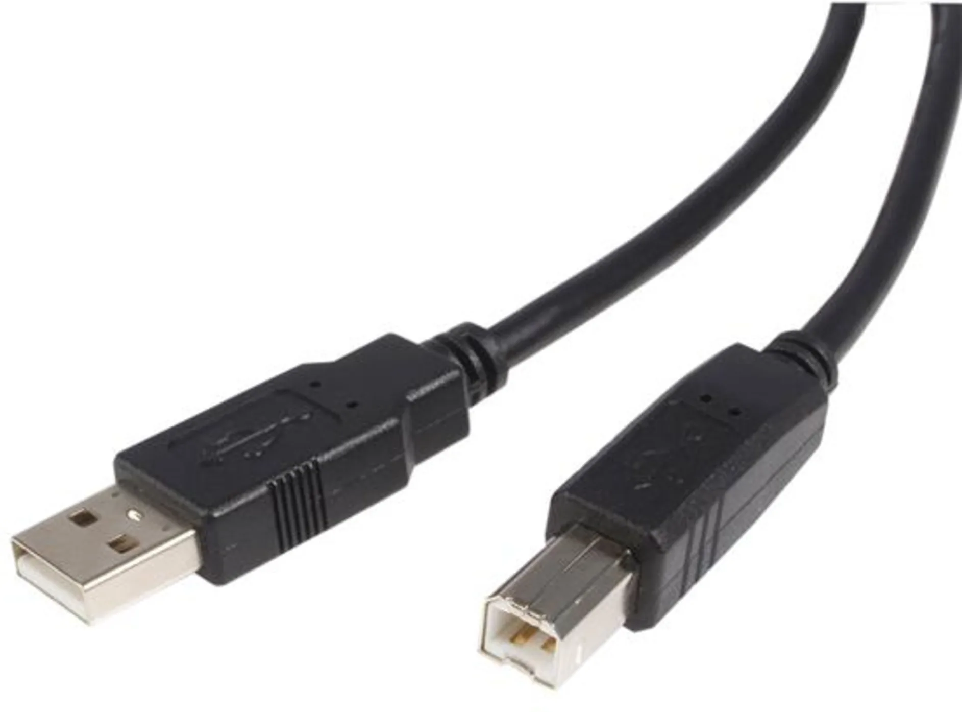Imagen 0 de 10 ft USB 2.0 Certified A to B Cable M/M