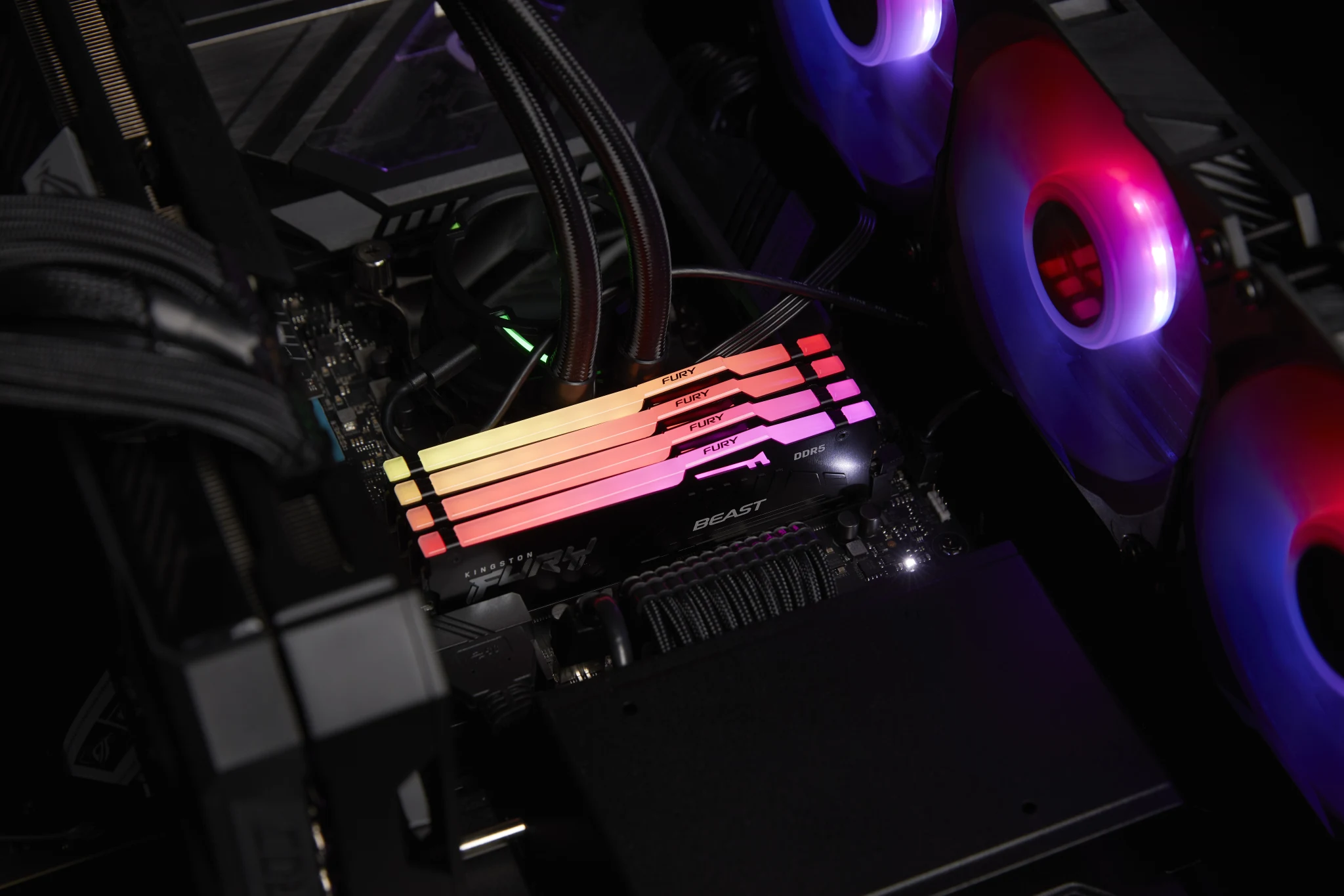 Imagen 7 de Kingston Fury - DDR5 SDRAM - Non-ECC - Beast RGB EXPO