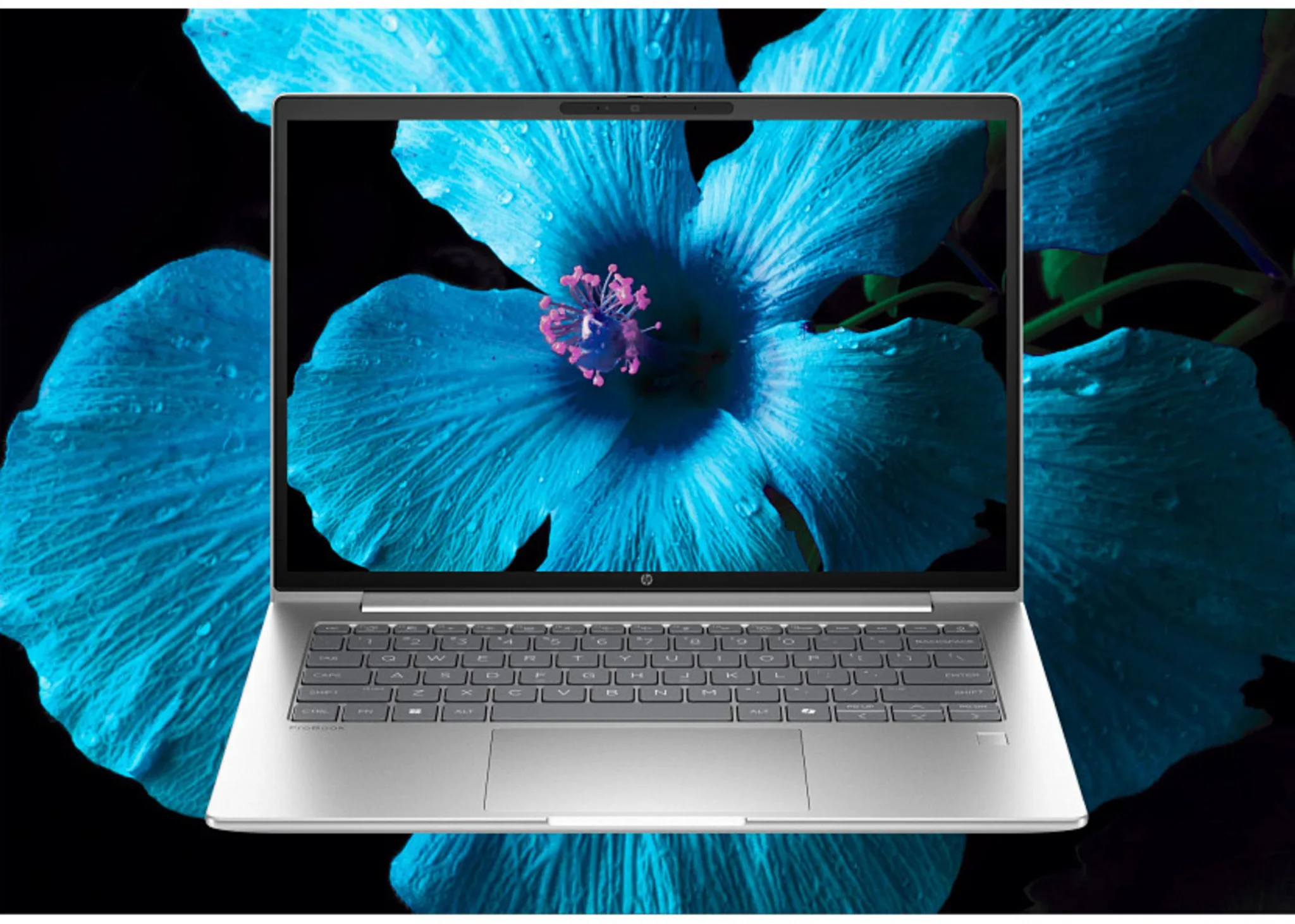 Imagen 11 de Notebook HP ProBook 4G1i Ultra 7 255U 16GB 512GB 14" W11P