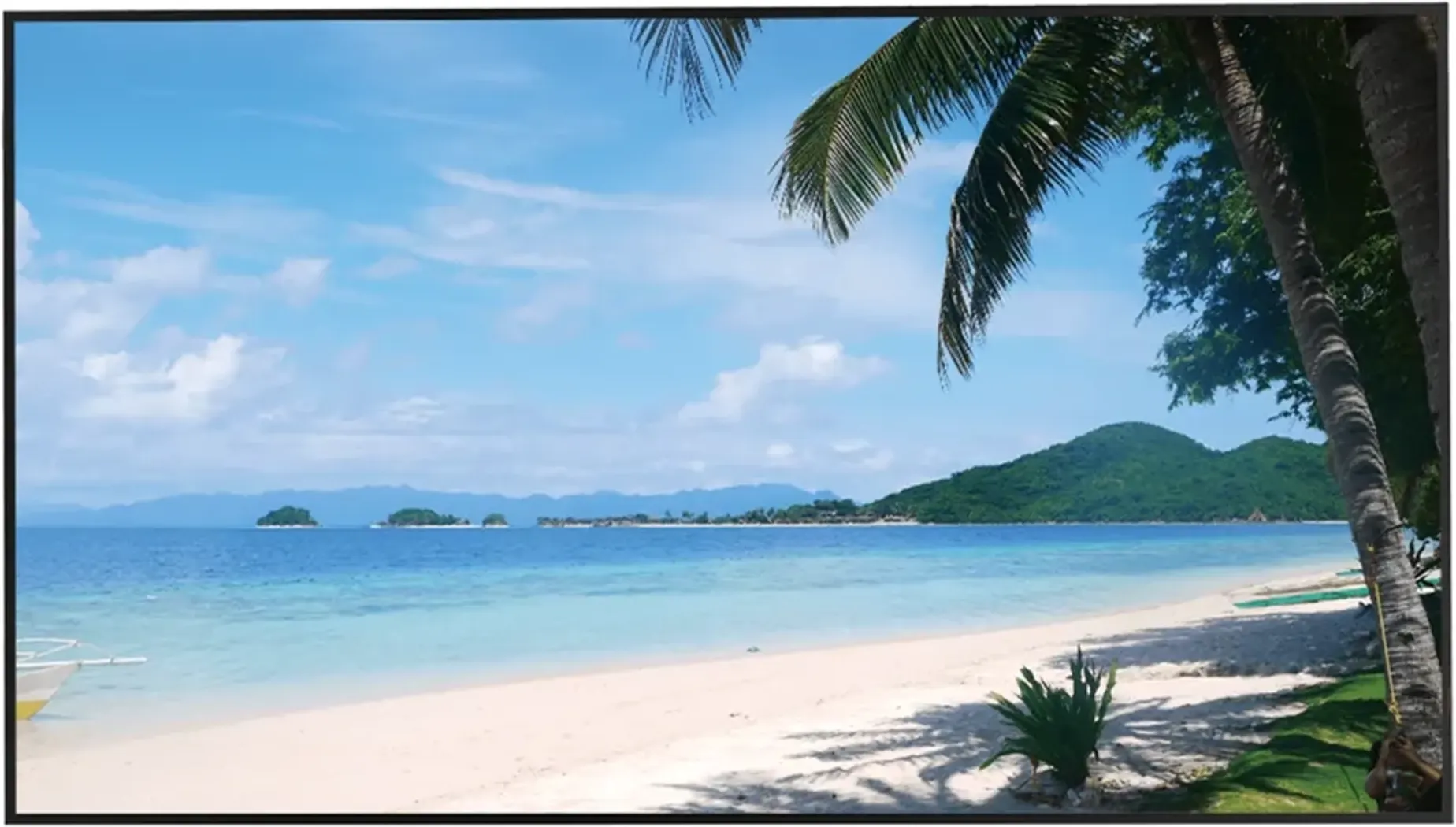 Imagen 0 de 49'' UHD LED MONITOR