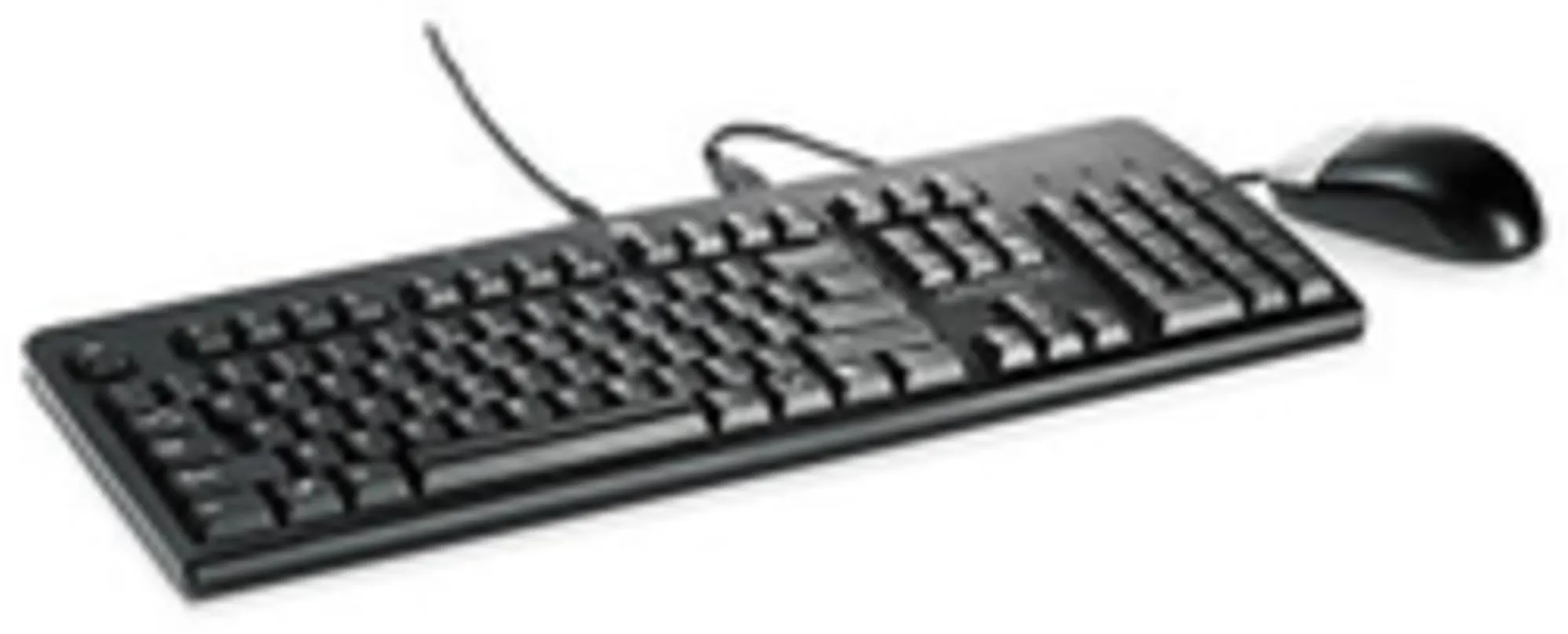 Imagen 0 de Kit Teclado Mouse Alámbrico HP BFR-PVC Teclado Inglés Mouse Optico USB p/Server 