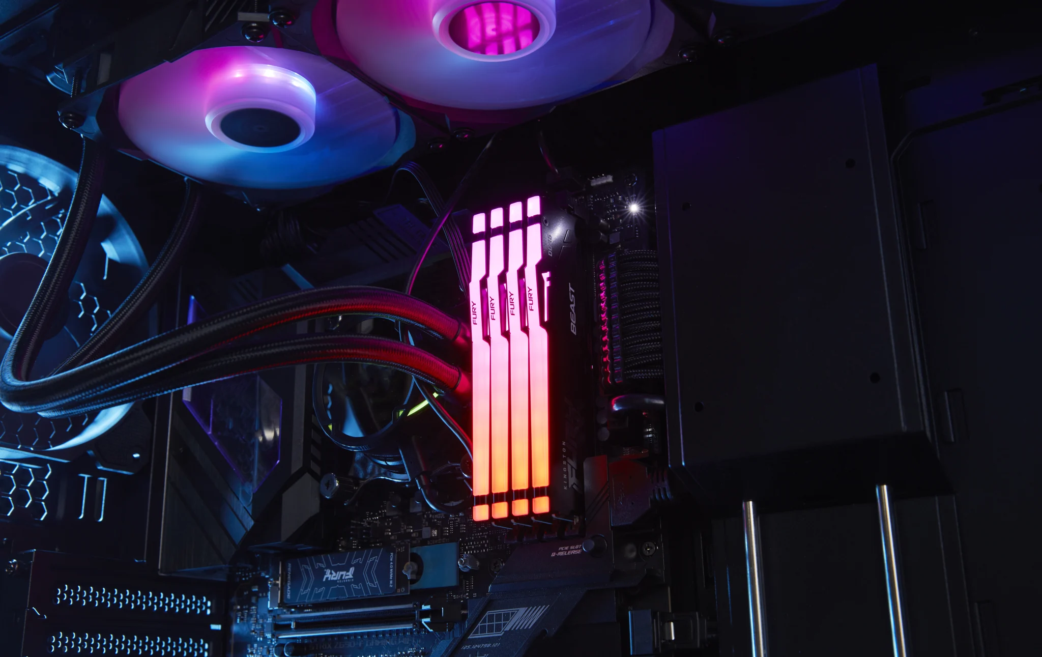 Imagen 9 de Memoria RAM 32GB DDR5 DIMM 5600MHz CL36 Non-ECC  288p Kingston FURY Beast RGB